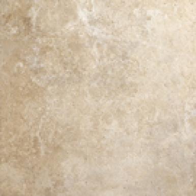 Century Spirit  Borneo 45x45