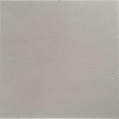 Cerdomus Benchmark Silver 50x50
